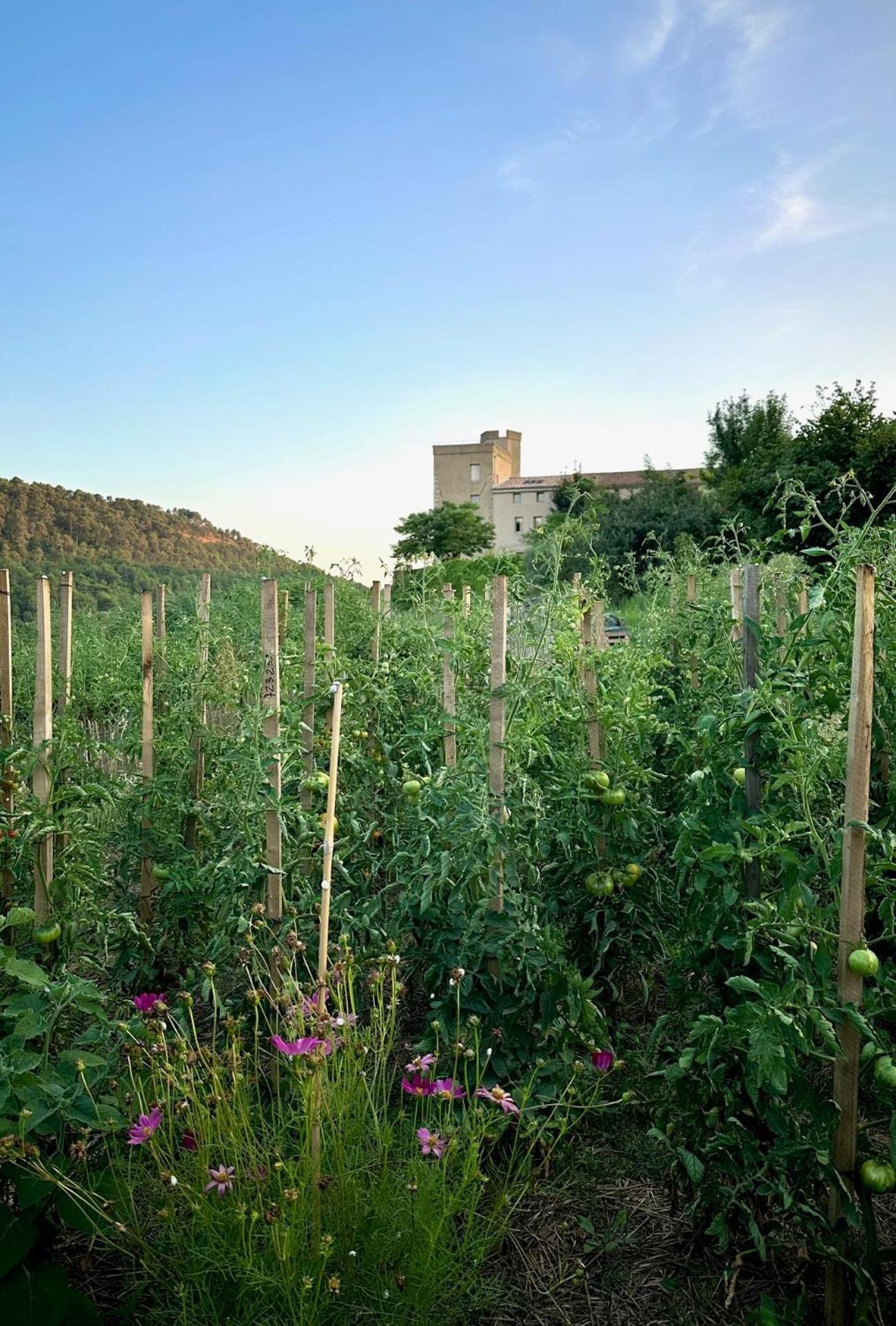Bed and Breakfast Domaine La Ferme Hi Bride Villelaure Экстерьер фото